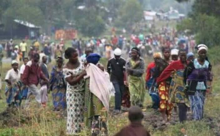 Massacres à Djugu : les corps de nombreuses victimes ont été mutilés et certains démembrés (rapport BCNUDH) 