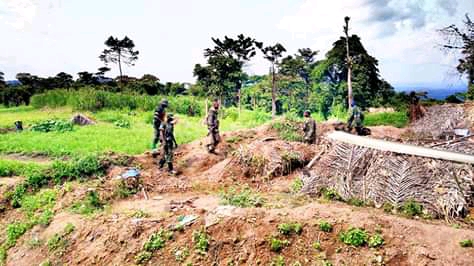 Opérations sokola 1 à Beni : les jeunes du groupement Basongora au chevet des éléments&nbsp;FARDC