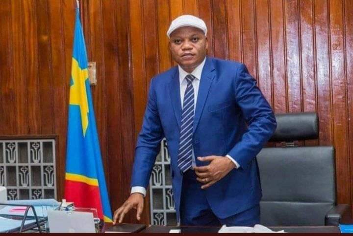 Assemblée nationale : l&rsquo;UDPS considère inopportun le remplacement de Kabund par un autre de ses&nbsp;députés