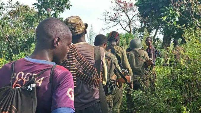 [Beni] Évasion des rebelles ADF de Angenga : les forces vives s&rsquo;inquiètent