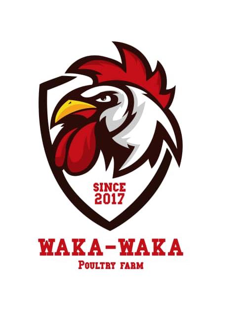 Nord-Kivu : WAKA-WAKA ferme, le poulailler qui lutte contre la&nbsp;famine