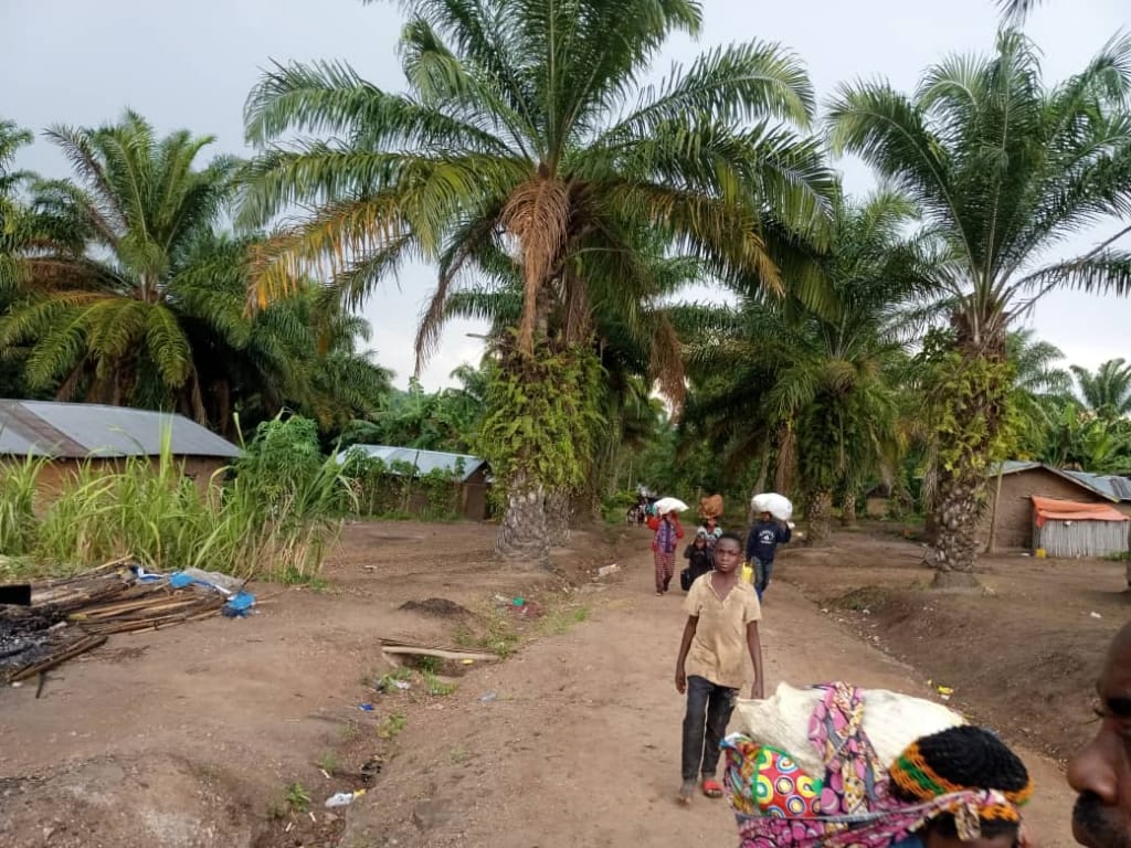 Insécurité à Beni : &laquo;&nbsp;plus de 90 % de la population quittent dans le village de Kisima&nbsp;&raquo; (société&nbsp;civile)