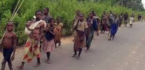 Beni : 8 pygmées pris en otage par les rebelles ougandais&nbsp;ADF