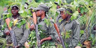 Insécurité à Beni : 7 civils kidnappés par les ADF à&nbsp;Bahatsa-Maibo